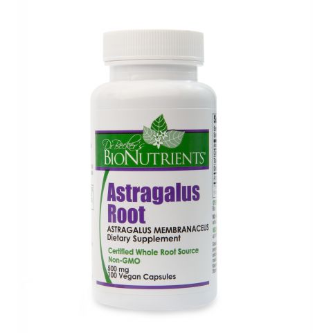 Astragalus Root, 500mg, 100 Capsules